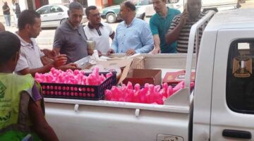 ضبط 91 كيلو «حلاوة مولد» مجهولة المصدر و284 لحوم ودواجن «غير صالحة» في أسوان
