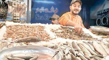 «المصرى اليوم» داخل سوق الأسماك الحضارى فى بورسعيد
