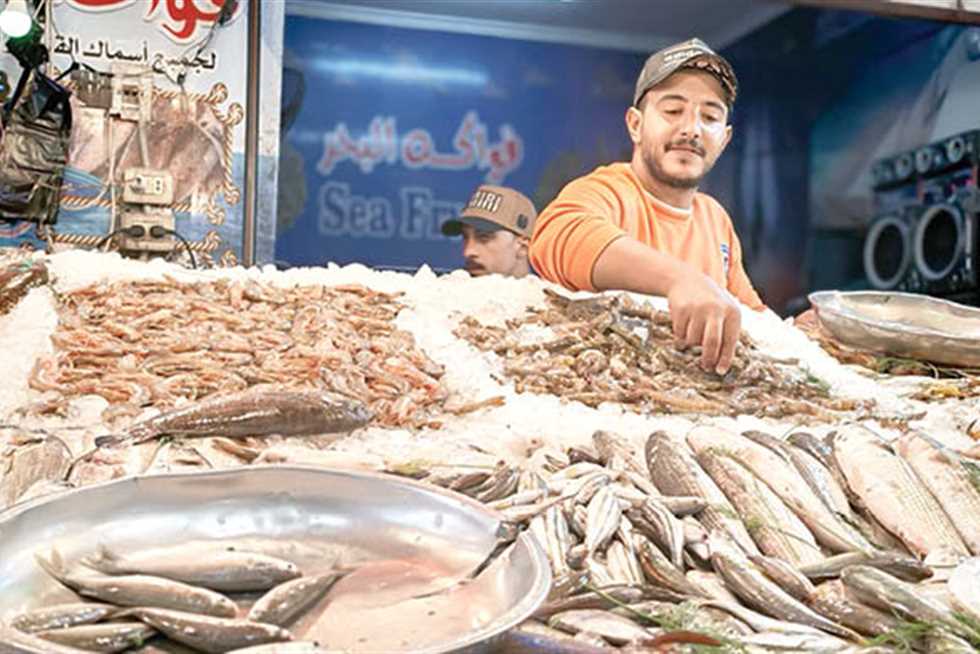 «المصرى اليوم» داخل سوق الأسماك الحضارى فى بورسعيد