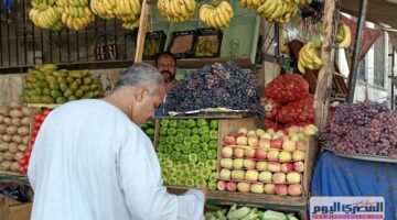 أسعار الخضروات والفواكه بشمال سيناء اليوم الاثنين 25 أغسطس