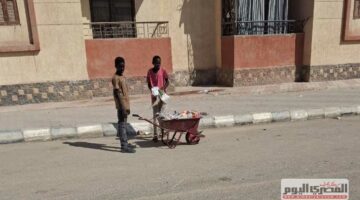 «مشوا العمال وشغلوا العيال».. نظافة شوارع حدائق أكتوبر بـ«أيدي أطفال سودانيين» واليومية 50 جنيهًا (صور وفيديو)