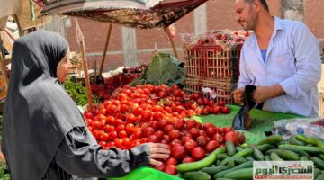 الطماطم بـ6 جنيهات.. أسعار الخضار في مطروح