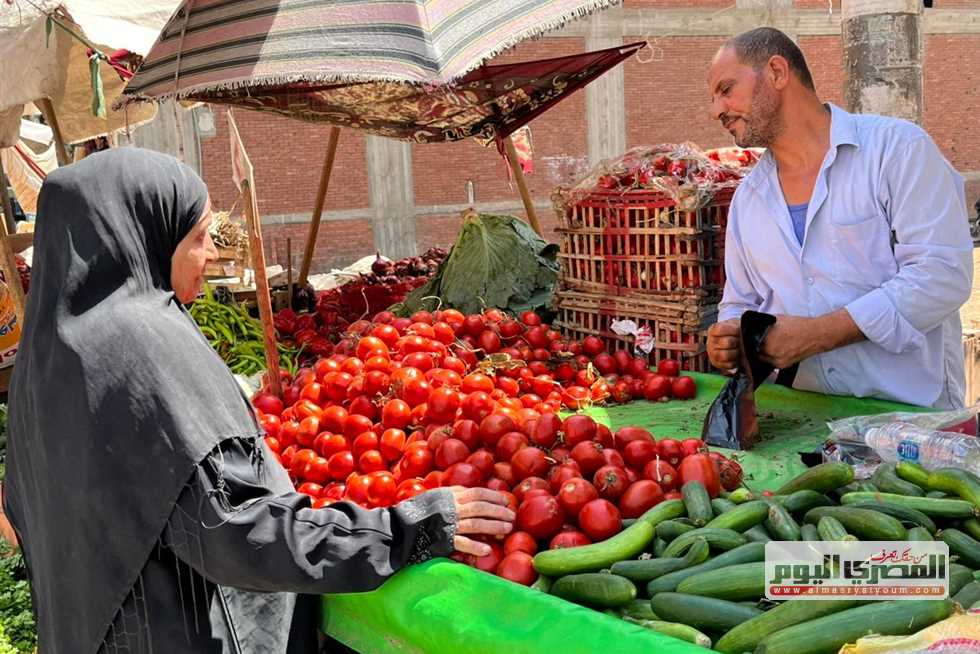 الطماطم بـ6 جنيهات.. أسعار الخضار في مطروح