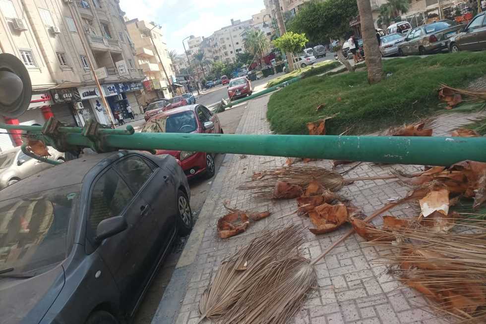 تحطم سيارة إثر سقوط عامود إنارة في «شهر العسل» بالإسكندرية (صور)