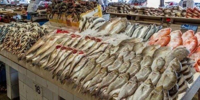 أسعار الأسماك في سوق العبور اليوم الاثنين 11 أغسطس 2025