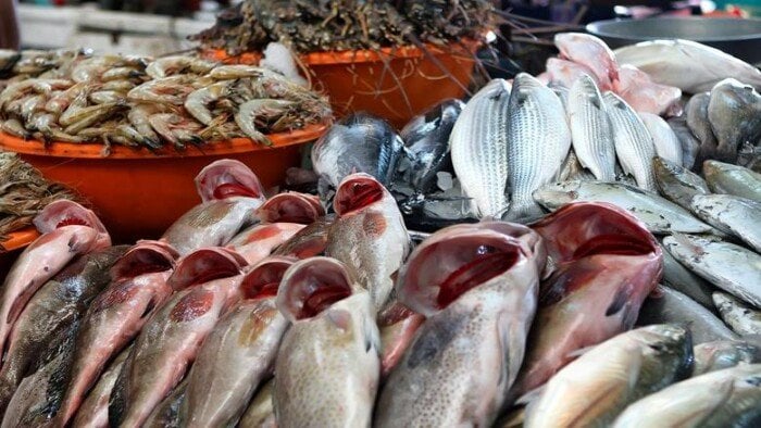 أسعار السمك والجمبري اليوم الثلاثاء في الأسواق.. البلطي بـ 100 جنيه