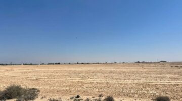 إطلاق مشروع ذكي على مساحة 350 فدانًا في برج العرب الجديدة بنظام المطور الصناعي