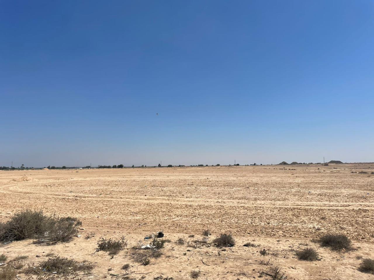 إطلاق مشروع ذكي على مساحة 350 فدانًا في برج العرب الجديدة بنظام المطور الصناعي