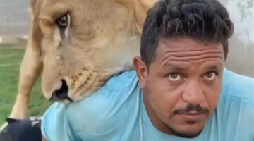 «اعطه قبلة».. صاحب مزرعة في ليبيا يهاجم عاملا مصريا بأسد (فيديو)