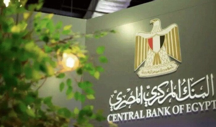 الأنظار تتجه نحو خفض مرتقب.. المركزي المصري يواجه اختبار الفائدة من جديد