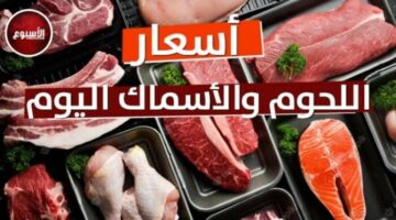 الجملي بـ 300 جنيه.. أسعار اللحوم اليوم الخميس 28 أغسطس 2025