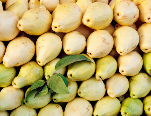 الجوافة المصرية تطيح بمنافسيها في قطر
