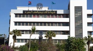 الحديد والصلب: ندرس بدائل إعادة التشغيل بحلوان