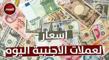 «الدينار والريال واليورو بكام؟».. أسعار العملات اليوم الخميس 14 أغسطس 2025