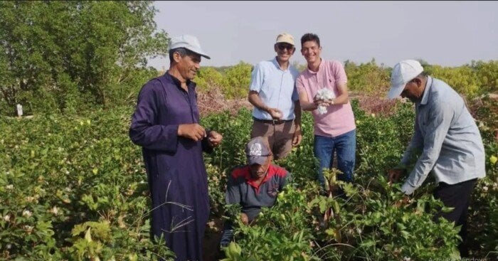 الزراعة والتجارة الأبرز.. انخفاض معدلات البطالة في مصر خلال الربع الثاني من 2025