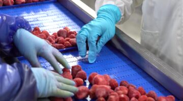 الصادرات الغذائية المصرية ترتفع 7% في يوليو وتسجل 604 ملايين دولار