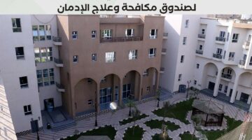 القاهرة تتصدر الخدمات العلاجية لصندوق مكافحة الإدمان بنسبة 27%