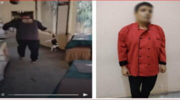 القبض على «طباخ» ضرب قطة حتى الموت في مطروح