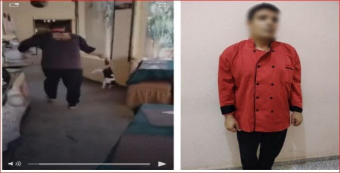 القبض على «طباخ» ضرب قطة حتى الموت في مطروح