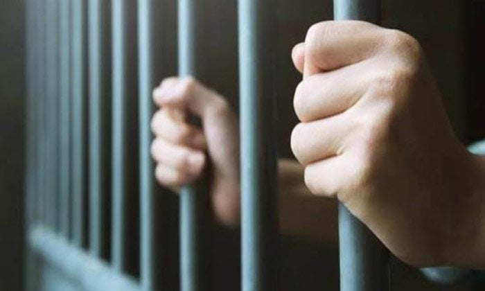 المشدد لمتهمين بالشروع في قتل وسائق لقيادته تحت تأثبر المخدر بالقناطر الخيرية