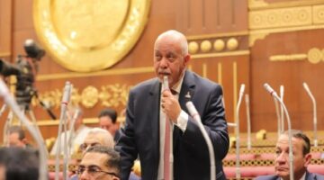 النائب حازم الجندي: نجاح الوساطة «المصرية – القطرية» خطوة حاسمة لإنهاء معاناة غزة