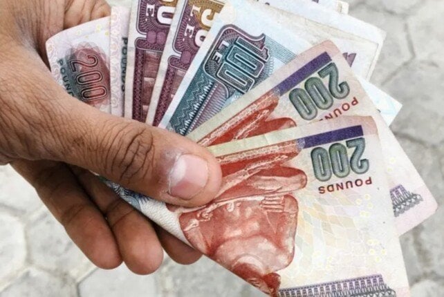 بعائد 22%.. شهادات ادخار وودائع بنك ناصر الاجتماعي