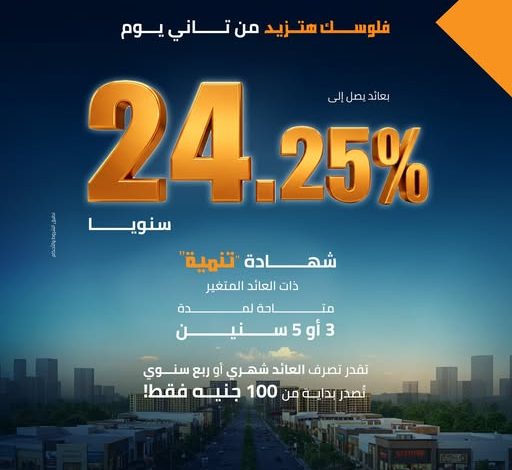 بعائد يصل إلى 24.25%.. تفاصيل ومزايا “شهادة تنمية” من بنك التنمية الصناعية