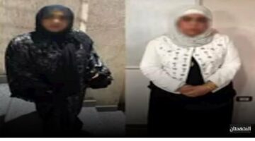 بعد القبض على مشاهير «التيك توك» ما الضوابط للقضاء على هذه الظاهرة؟