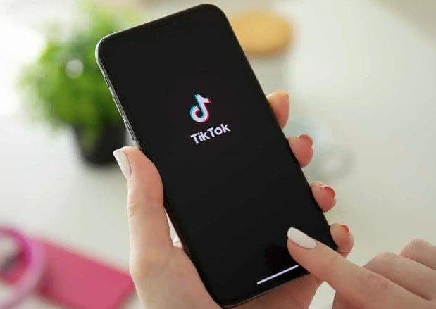 تامر عبد المنعم: «التيك توك» أصبح مهنة والبلوجرز يشترون سيارات وعقارات في دبي