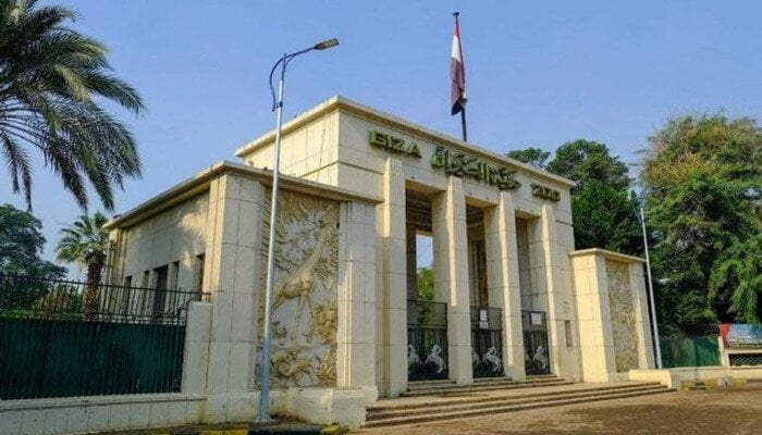 تحالف تطوير حديقة الحيوان: استيراد 362 حيوانًا جديدًا من الخارج
