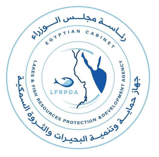 جهاز تنمية البحيرات: إطلاق الدفعة الرابعة من يرقات الجمبري في بحيرة قارون