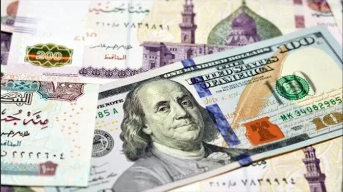 خبير اقتصادي يكشف مزايا الضوابط الجديدة لاستخدام بطاقات الائتمان للمسافرين