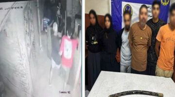 خلاف عائلي.. ضبط المتهمين بضرب سيدة بـ «عصا» في منشأة ناصر| فيديو