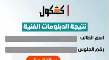 رابط نتيجة الدبلومات الفنية الدور الثاني.. التفاصيل كاملة