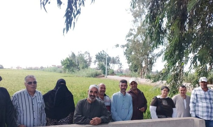 زراعة كفر الشيخ وتطلق ندوة إرشادية حول محصول الأرز بقلين