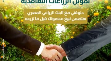 «زود دخلك .. وخليك في المضمون».. مبادرة جديدة من البنك الزراعي لزيادة أرباح المزارعين