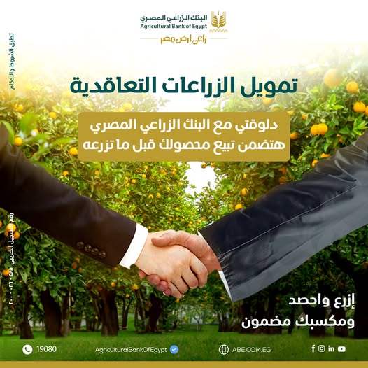 «زود دخلك .. وخليك في المضمون».. مبادرة جديدة من البنك الزراعي لزيادة أرباح المزارعين