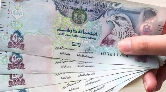 سعر الدرهم الإماراتي مقابل الجنيه المصري اليوم السبت 16 أغسطس 2025