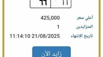 سعرها وصل 425 ألف جنيه.. المرور تطرح التزايد على لوحة سيارة مميزة