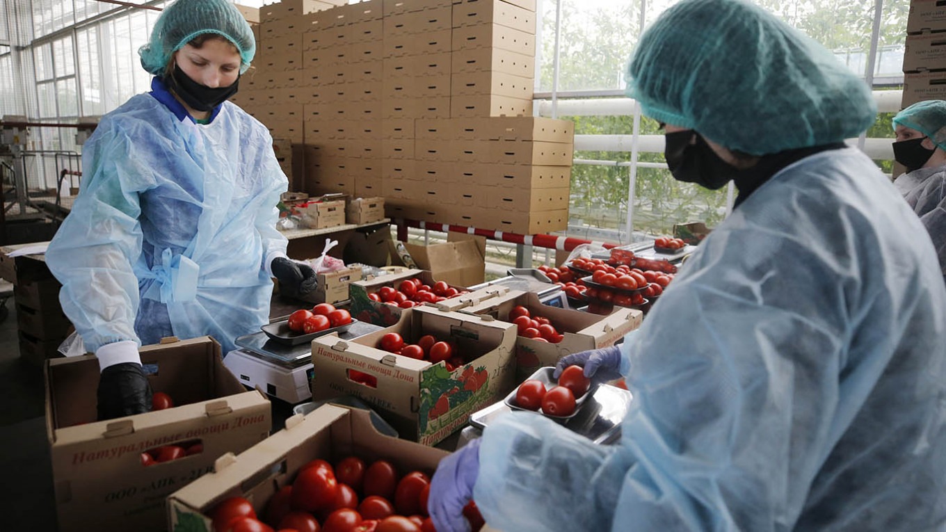 صادرات الصناعات الغذائية المصرية ترتفع 6% إلى 3.4 مليار دولار بالنصف الأول 2025