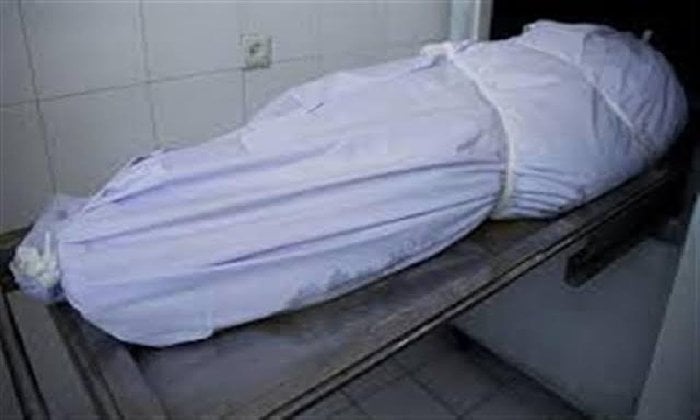 صعق بالكهرباء ينهي حياة شقيقين بالمنيا.. تفاصيل حادث مزرعة البربا