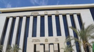 ضبط 11 عاملا أجنبيا دون ترخيص بالغربية واتخاذ الإجراء القانوني ضدهم