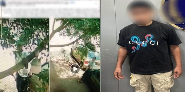 ضبط شخص لقيامه بإتلاف مرايات سيارتين عمدا بالقاهرة | فيديو