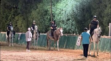 غدا.. بعثة فروسية الأولمبياد الخاص المصري تطير إلى أبو ظبي الإماراتية للمشاركة في مسابقة الفروسية الإقليمية – العين 2025