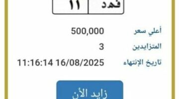 «فهد 11».. المرور تطرح التزايد على لوحة سيارة مميزة