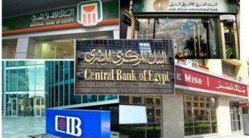 فيتش: البنوك المصرية ضمن الأقوى إقليميًا في كفاية رأس المال حتى 2026