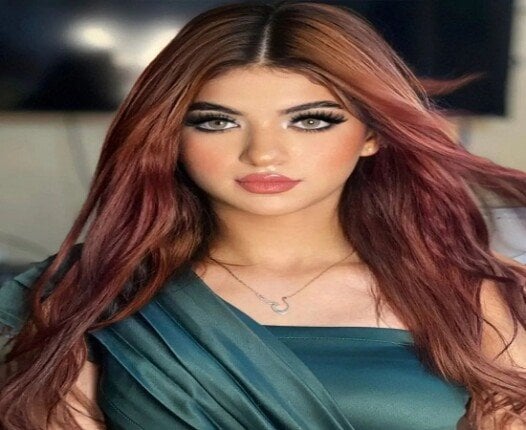 قرار جديد من المحكمة بشـأن أموال البلوجر سوزي الأردنية