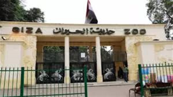 مجلس الوزراء يستعرض خطوات تطوير حديقة الحيوان بالجيزة
