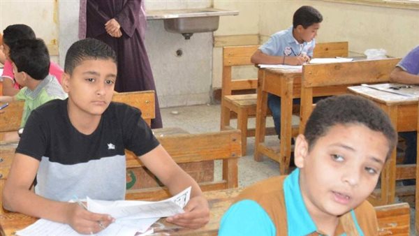 محافظ القليوبية يقرر النزول بتنسيق فصول خدمات الثانوى العام إلى 180 درجة