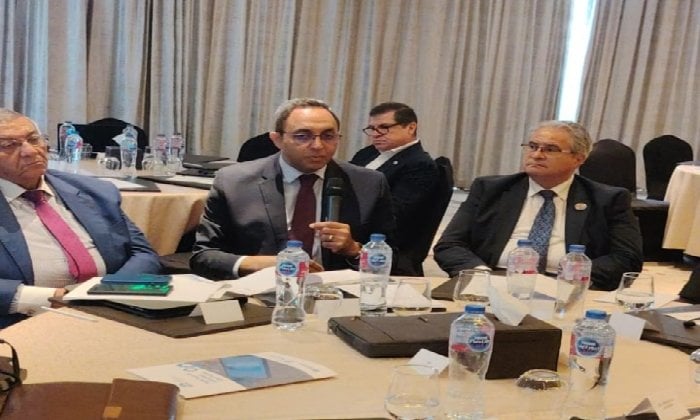 محافظ قنا ونائبه يشاركان في ورشة عمل لبناء القدرات الرقمية للقيادات المحلية بالقاهرة
